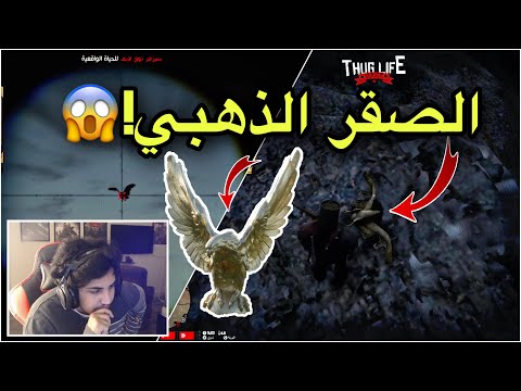 جيب الصقر الذهبي ولك 200 معاناتي 2 الحياة الواقعية