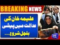Big News for Aleema Khan | Orders From Court | PTI | Imran Khan | Dunya News