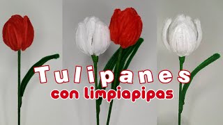🌷Cómo hacer TULIPANES con LIMPIAPIPAS🌷 // flores eternas ♡