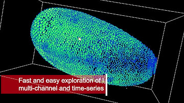 Life Science Image and Data Analysis with Amira Software