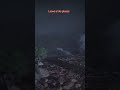 RDO #gaming #rdr2 #gameplay #games