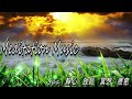 Meditation music 冥想音乐 Spa音樂 Relaxing music  放鬆音樂 療癒音樂 Chinese fllute music 大自然冥想音樂 深度睡眠 大自然 竹笛音樂 靜心