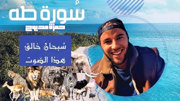 سورة طه القارئ حمزة مدبوح يا الله ما احححححححلى هذا الصوت تلاوة تهتز لها القلوب قرآن مع طبيعى