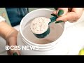 Popular protein powders, shakes contain high amounts of lead, study finds