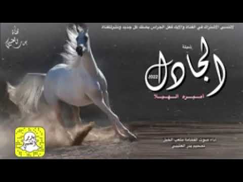 شيلة الجادل 2023 اداء صوت الفخامة متعب الخيل للطلب والاستفتار 0554259717