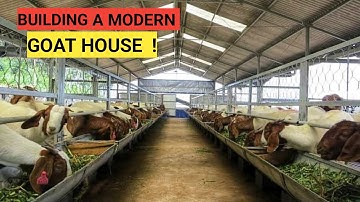 Cost Of Building A MODERN GOAT HOUSE! | Simple and Secure