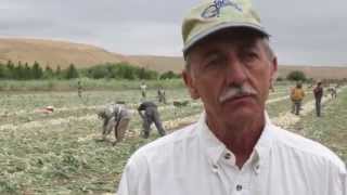 Fred Meyer -- Meet Our Northwest Growers: Walla Walla River Packing and Storage