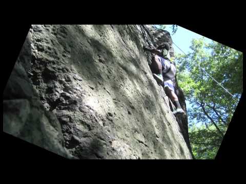 A Summer in the Emerald Necklace - The Green Team ...