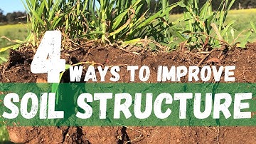 4 Ways To Improve Soil Structure | Regenerative Agriculture