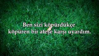 Leyl Suresi - Maher al-Muaiqly - Türkçe Mealli