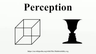 Perception