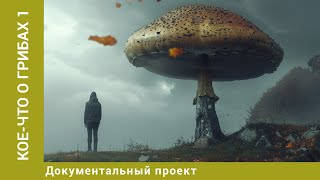 Кое-что о грибах. 1 Серия. Документальный Проект. Лучшие сериалы