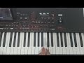 Tutorial orga | Sarba | Lenuta Draga Lenuta