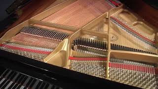Kawai GL-10 5 Baby Grand Piano (F116706)