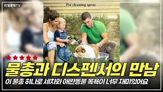 비누 디스펜서와 거품 분무기를 하나로! 8가지 패턴으로 즐기는 세차와 애완동물 목욕