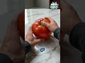 فتحت الطماطم لقيت فلوس