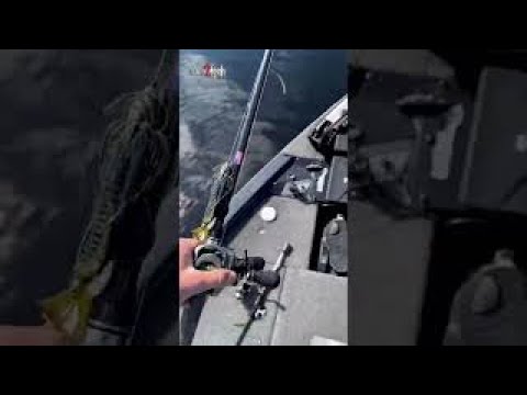 Video Hard to put down that flippin' stick! #shorts - youtube
