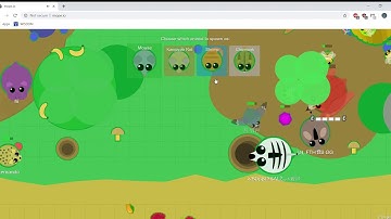 mope.io walkthrough