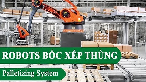 Robot bốc xếp thùng hàng lên Pallet tự động - Palletizing System