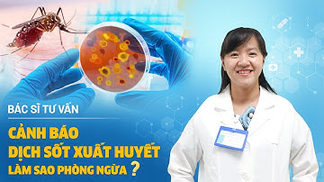Bệnh sốt xuất huyết: Triệu chứng và giai đoạn nguy hiểm cần lưu ý | BS.CKI Hoàng Mỹ Linh | Tâm Anh