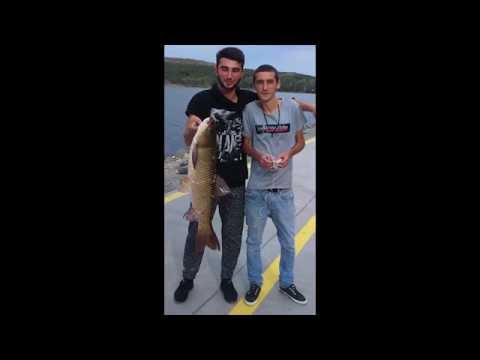 თევზაობა ლისის ტბაზე \"ბელიამური;  10კგ.