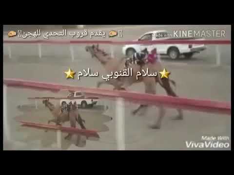 فوز ناصر بن سعيد الجنوبي في اللحضات الاخيره