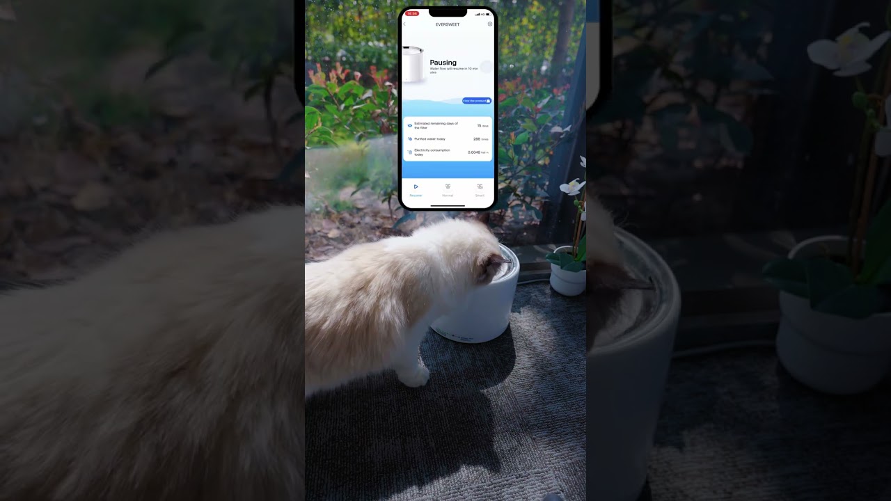 PETKIT EverSweet 3 Pro UVC resmî tanıtım videosu