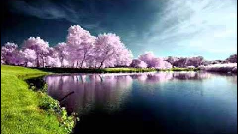 يا بني اركب معنا تلاوة مباركة تبكي القلوب