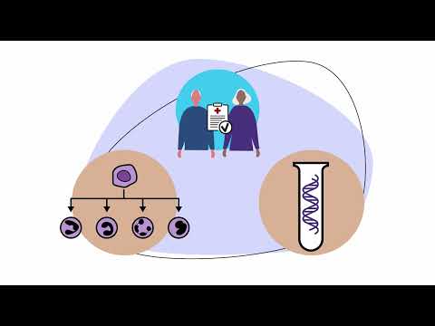 Video: 3 způsoby, jak rozpoznat a léčit lymfocytickou choriomeningitidu (LCM)