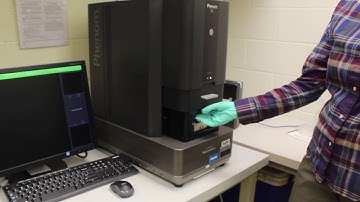 SEM/EDS: Inserting Samples into the SEM