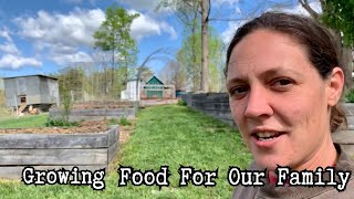 Early Spring Garden Tour | Utilizing Every Space | April 2024