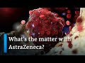 Germany temporarily halts AstraZeneca vaccinations | Coronavirus latest