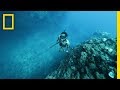 Living Off the Land in Hawaii | Explorer Mp3