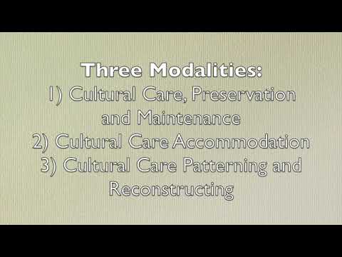 transcultural-nursing-care-theory
