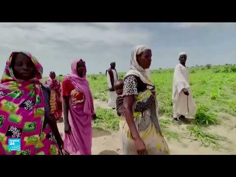 السودان: أزمة إنسانية متفاقمة... وفيات جوع ونزوح وأوبئة