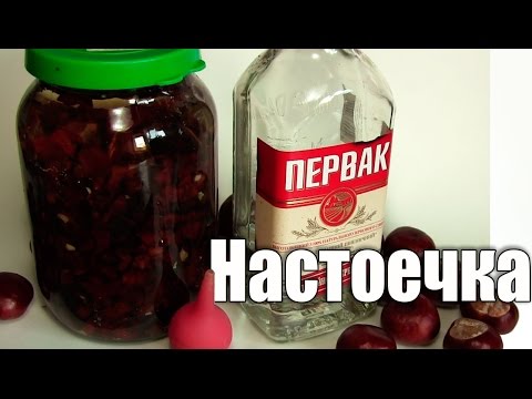 Бейне: Каштан неге гүлдемейді? Елдегі ағаштың себептері мен мәселелері. Неліктен ересек каштан олардың саяжайында гүлдемейді?