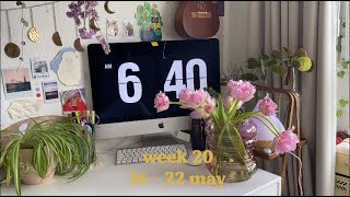 week 20 vlog