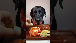 birthday of my dog😭♥️~ mini wood toy- woodworking art skill/wood hand #shorts