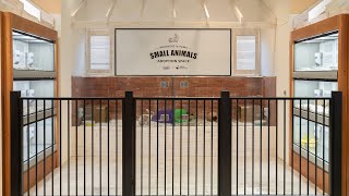 Small Animals Adoption Space is Now Open! | Whiskers N Paws x SPCA