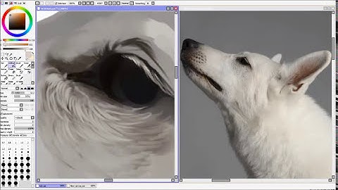 realistic dog speed paint (paint tool sai)