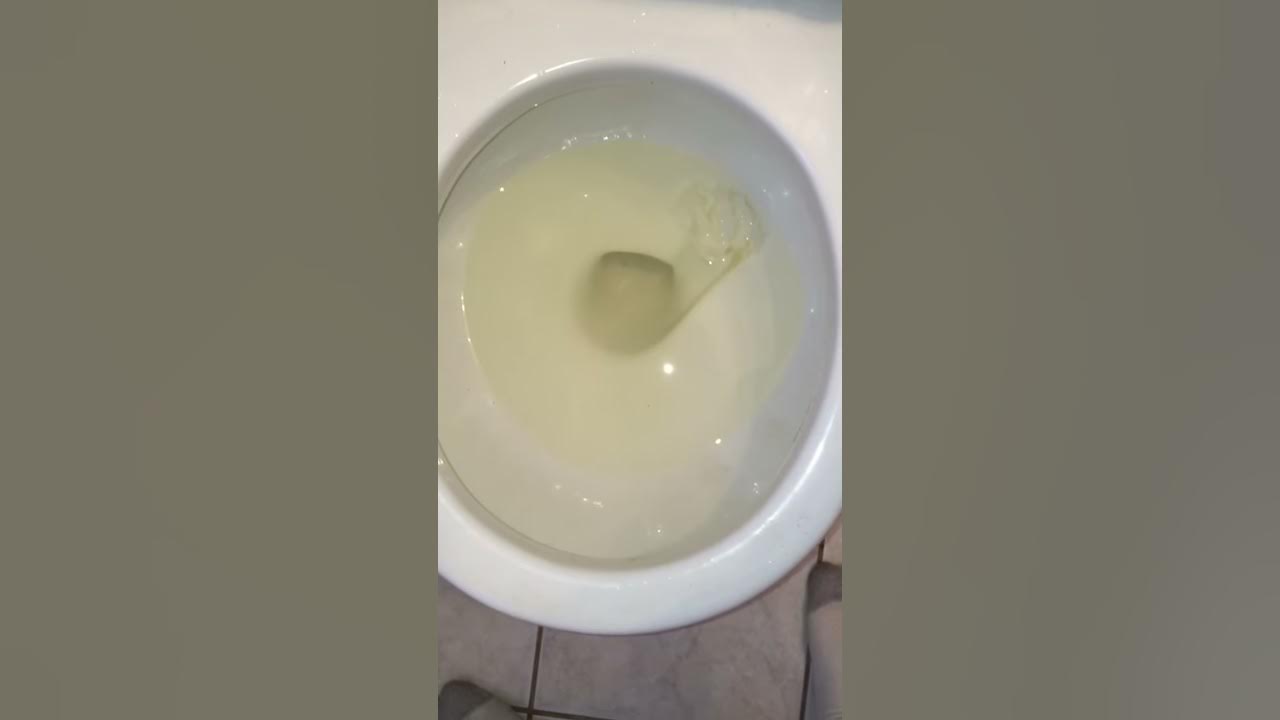 48. 1988 Kohler rialto toilet with clogged syphon jet. YouTube