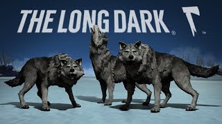 #17 Kurtlarla yakın temas! | The Long Dark