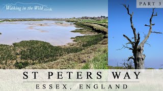 St Peters Way - Part 3: Bicknacre to Maylandsea