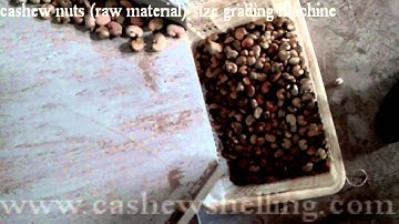 cashew nuts size grading machine for raw nuts www.cashewshelling.com
