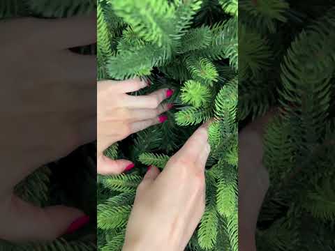 🌲 Карпатська 210