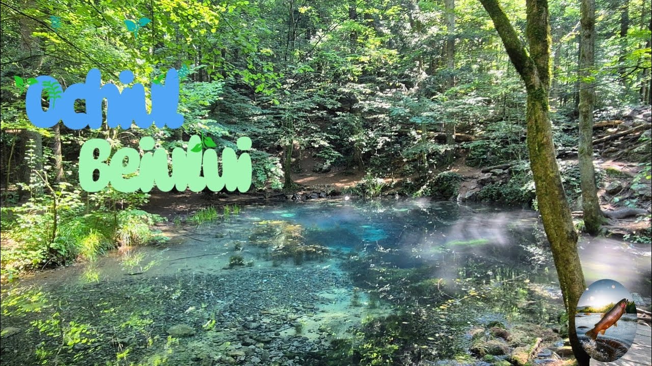 Lacul Ochiul Beiului | Parcul Național Cheile Nerei - Beușnița