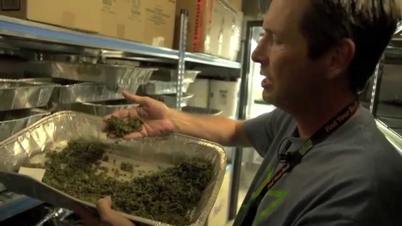 Commercials and Sponsors for The Marijuana Show