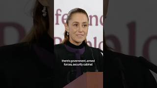 Mexico President Urges 'Tranquility' After Cartel Boss ‘El Mencho’ Killed Profile