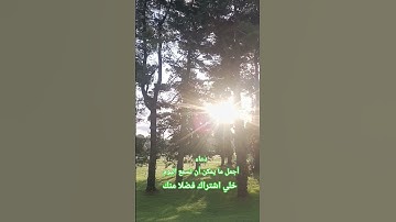 دعاء بالخير للمسلمين #دعاء #قران_كريم #allah #خشوع #تلاوة_خاشعة #المغرب #اكسبلور #status #whatsapp