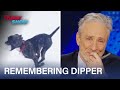 Jon stewart remembers his best boy dipper  the daily show